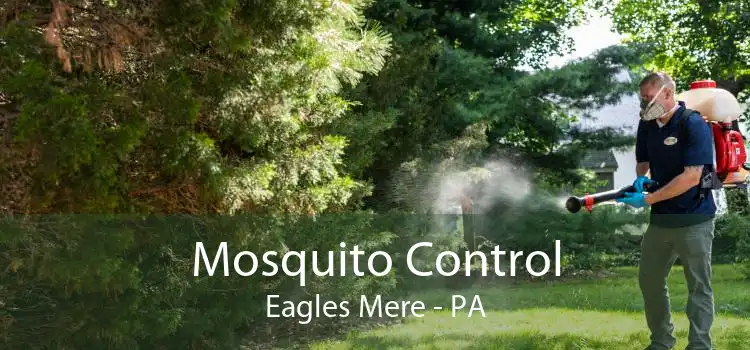 Mosquito Control Eagles Mere - PA