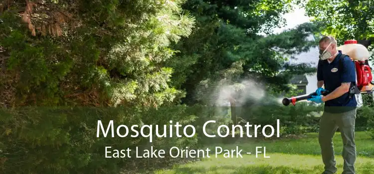 Mosquito Control East Lake Orient Park - FL