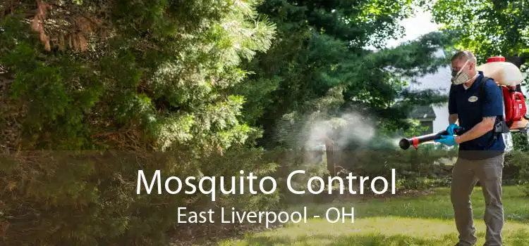 Mosquito Control East Liverpool - OH