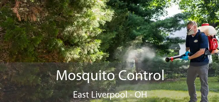  Mosquito Control East Liverpool - OH