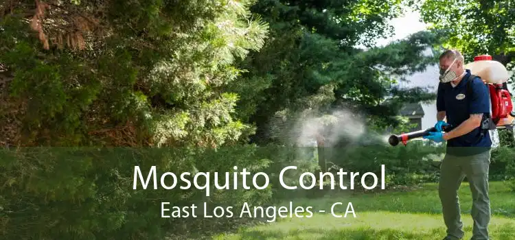 Mosquito Control East Los Angeles - CA