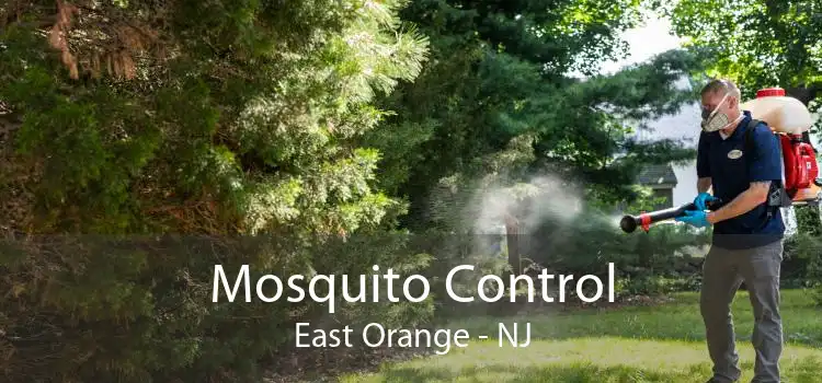 Mosquito Control East Orange - NJ