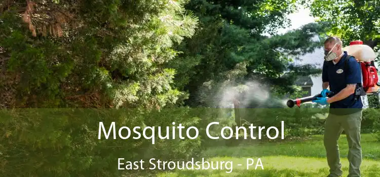  Mosquito Control East Stroudsburg - PA