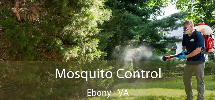  Mosquito Control Ebony - VA