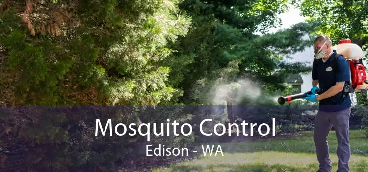 Mosquito Control Edison - WA