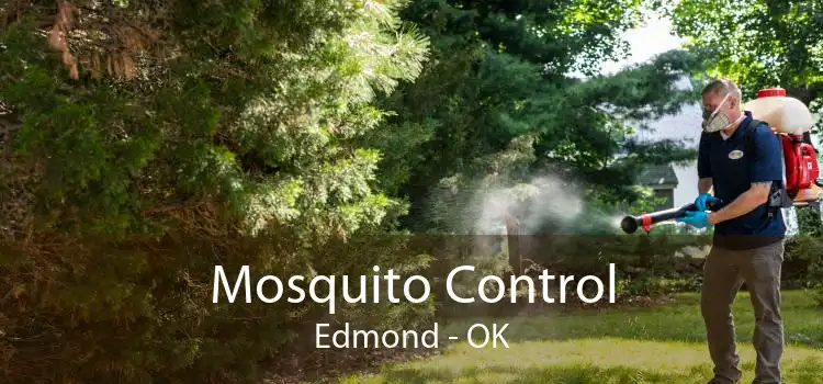 Mosquito Control Edmond - OK