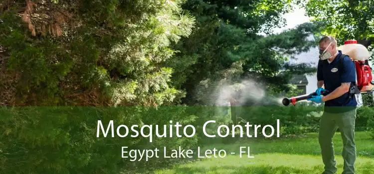 Mosquito Control Egypt Lake Leto - FL
