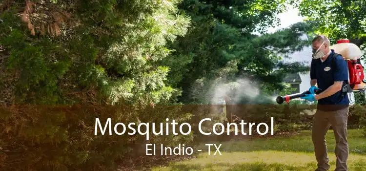 Mosquito Control El Indio - TX
