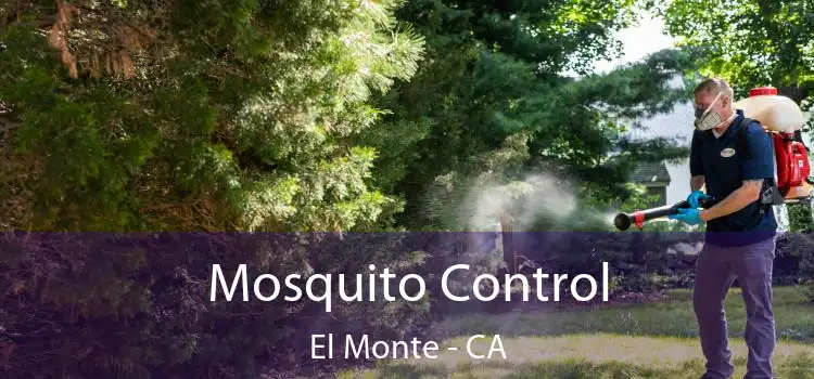  Mosquito Control El Monte - CA
