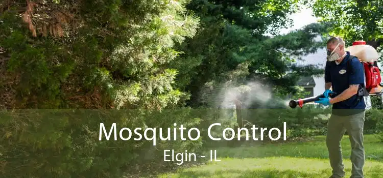 Mosquito Control Elgin - IL