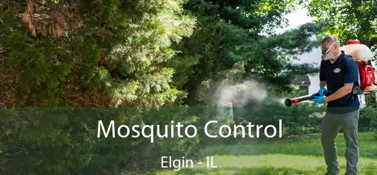  Mosquito Control Elgin - IL