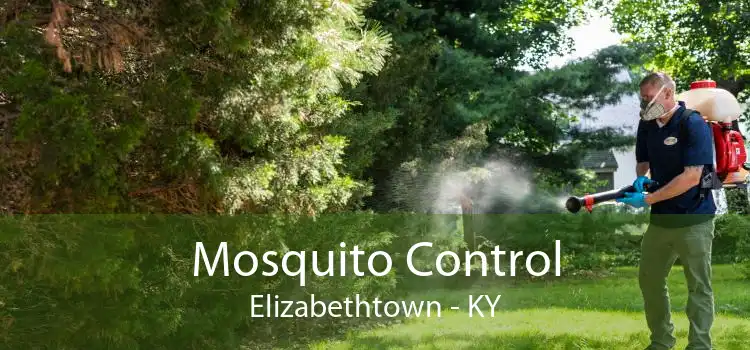 Mosquito Control Elizabethtown - KY