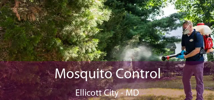  Mosquito Control Ellicott City - MD