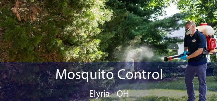  Mosquito Control Elyria - OH