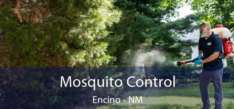  Mosquito Control Encino - NM