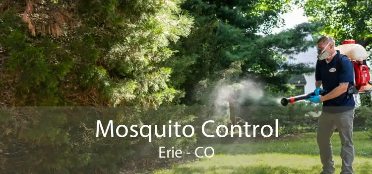 Mosquito Control Erie - CO