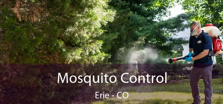  Mosquito Control Erie - CO