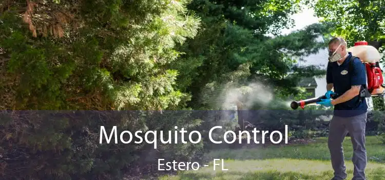  Mosquito Control Estero - FL