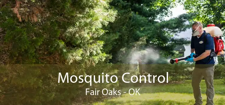 Mosquito Control Fair Oaks - OK