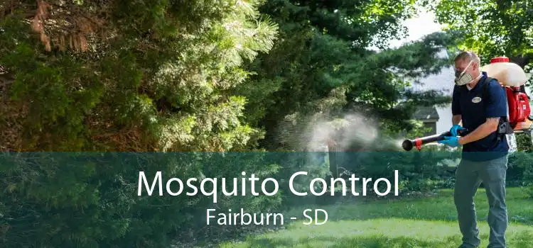Mosquito Control Fairburn - SD