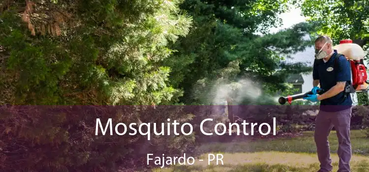 Mosquito Control Fajardo - PR