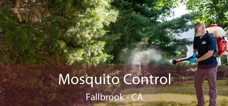 Mosquito Control Fallbrook - CA