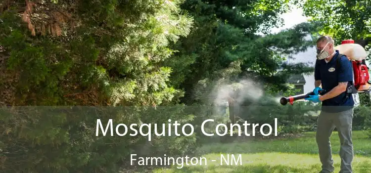  Mosquito Control Farmington - NM