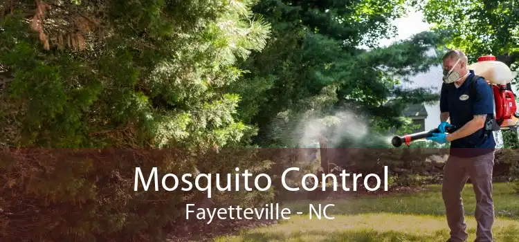 Mosquito Control Fayetteville - NC