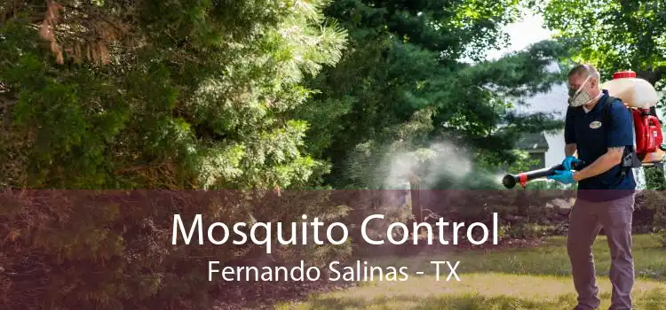 Mosquito Control Fernando Salinas - TX