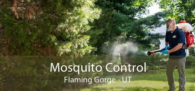Mosquito Control Flaming Gorge - UT