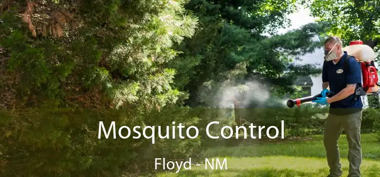  Mosquito Control Floyd - NM