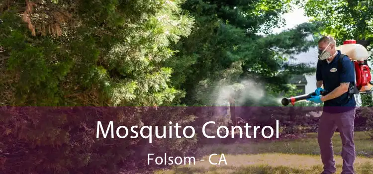  Mosquito Control Folsom - CA
