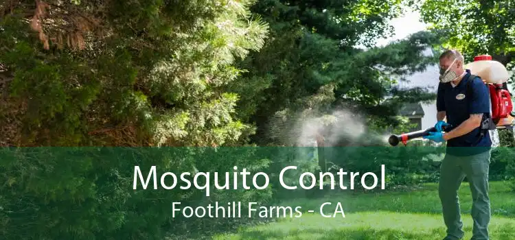 Mosquito Control Foothill Farms - CA