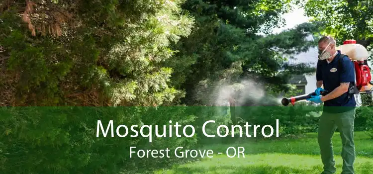 Mosquito Control Forest Grove - OR