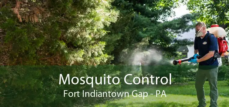 Mosquito Control Fort Indiantown Gap - PA