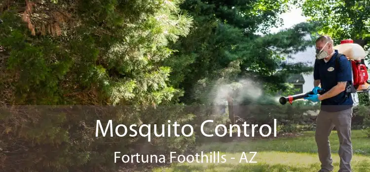  Mosquito Control Fortuna Foothills - AZ