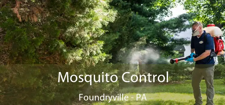  Mosquito Control Foundryville - PA
