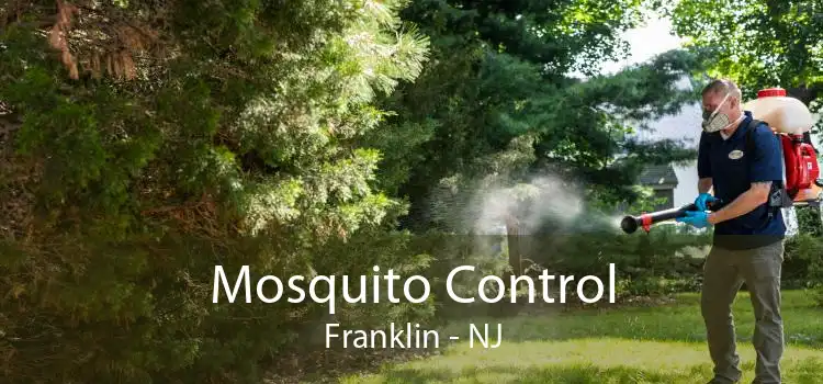 Mosquito Control Franklin - NJ