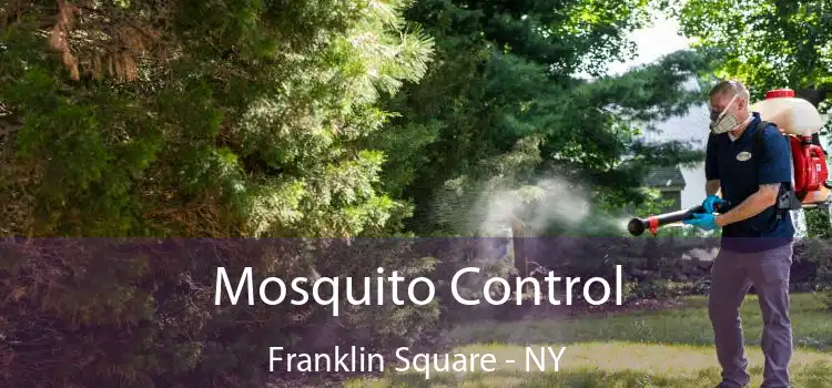  Mosquito Control Franklin Square - NY