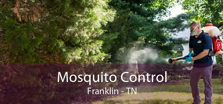 Mosquito Control Franklin - TN
