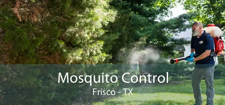 Mosquito Control Frisco - TX