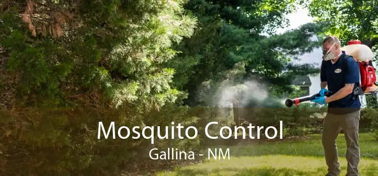 Mosquito Control Gallina - NM