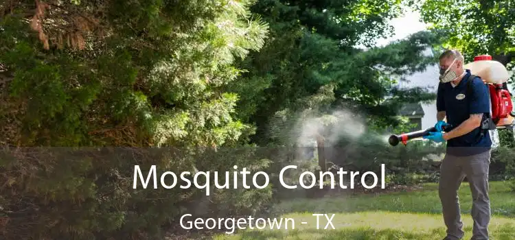  Mosquito Control Georgetown - TX