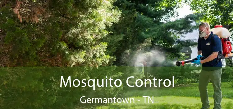 Mosquito Control Germantown - TN