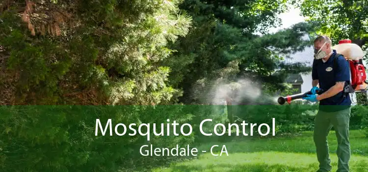 Mosquito Control Glendale - CA
