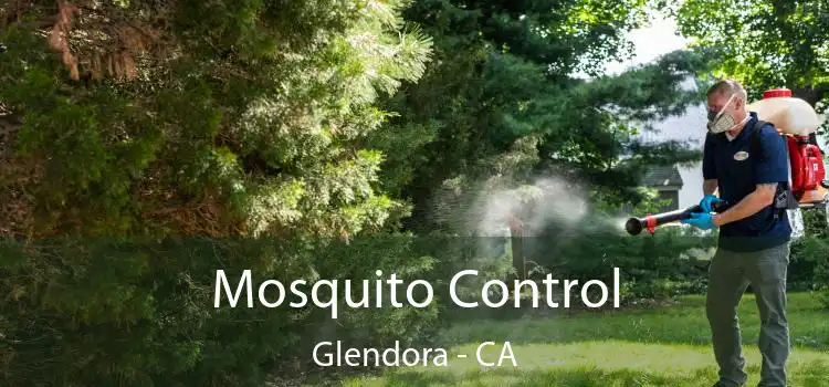  Mosquito Control Glendora - CA
