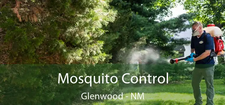  Mosquito Control Glenwood - NM