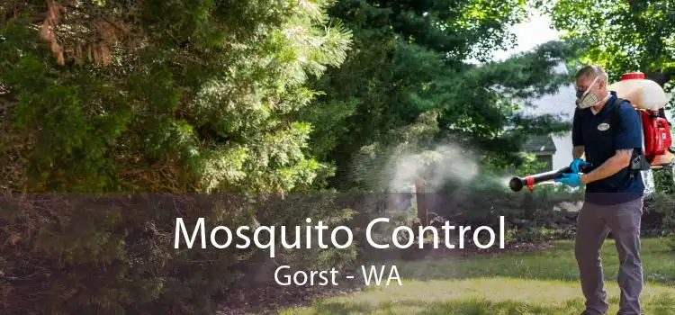 Mosquito Control Gorst - WA