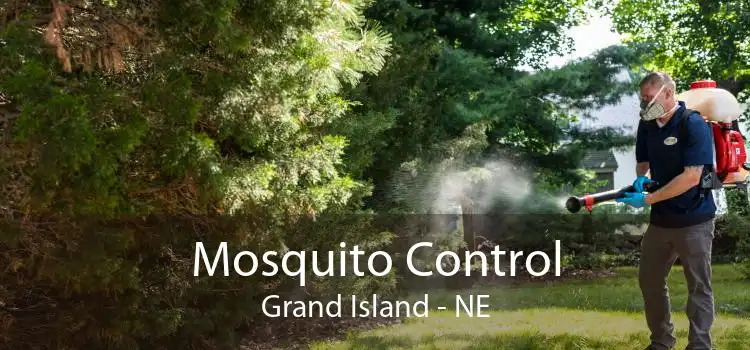 Mosquito Control Grand Island - NE
