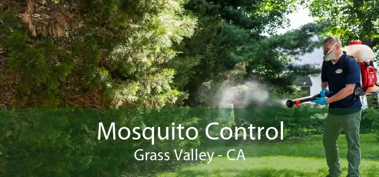 Mosquito Control Grass Valley - CA